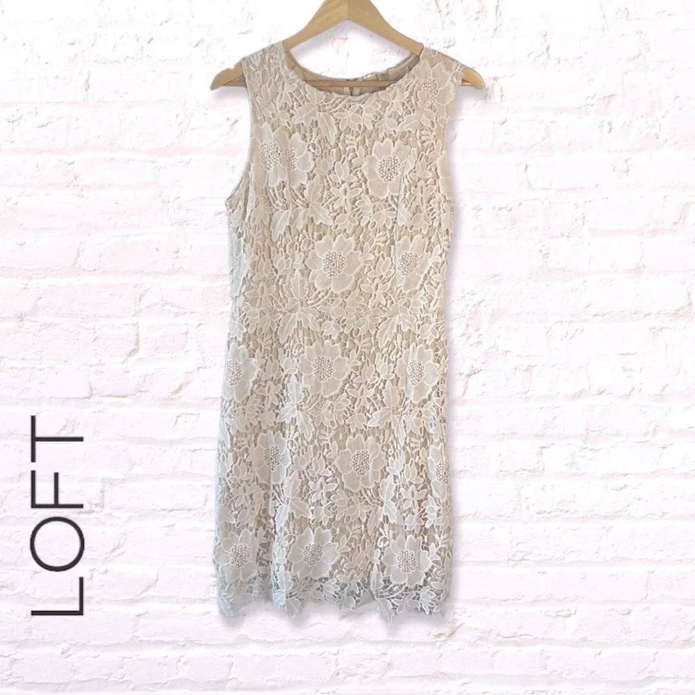 Loft Floral Cream Sleeveless Lace Shift Dress Size 8 Cream and Beige Lace
